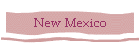 New Mexico